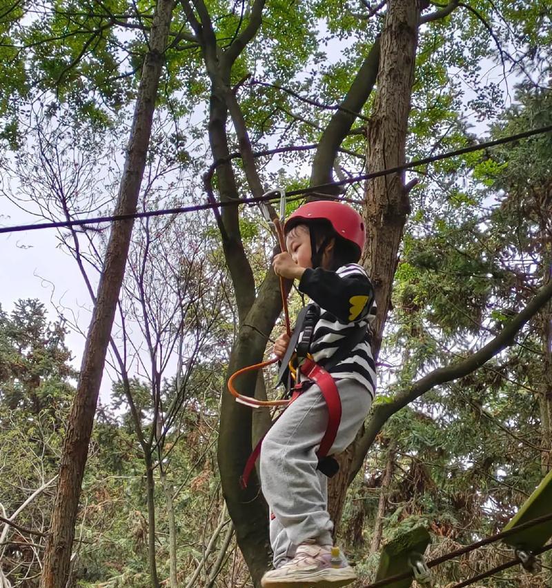 野外探险：在神秘的荒野中寻找宝藏